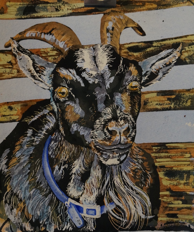 Helen Shideler  Old Goat painting
